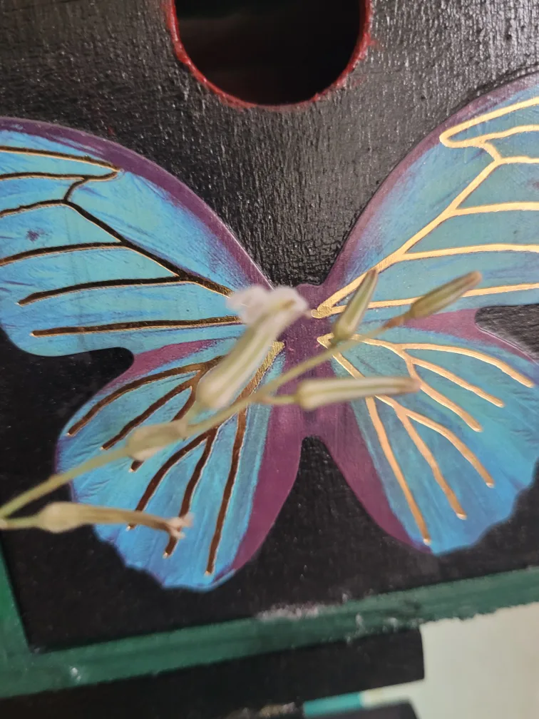 Potted plant that is flowering image indicator(4)