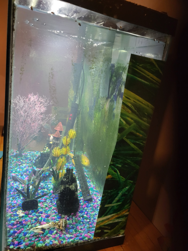 Fish Tank with Accessories - photo 4