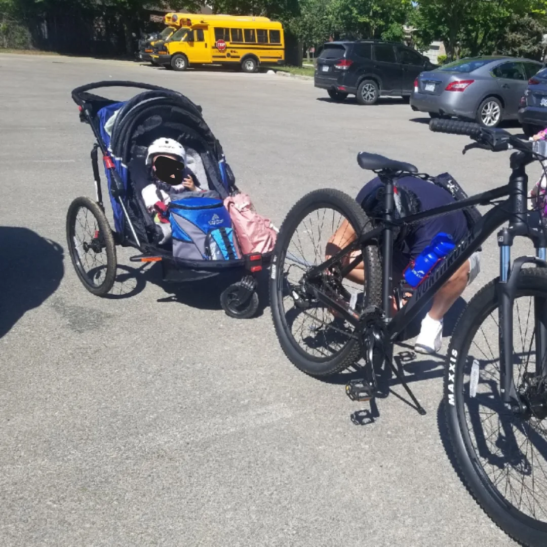 Schwinn Joyrider Double Bike Trailer/Stroller image indicator(9)