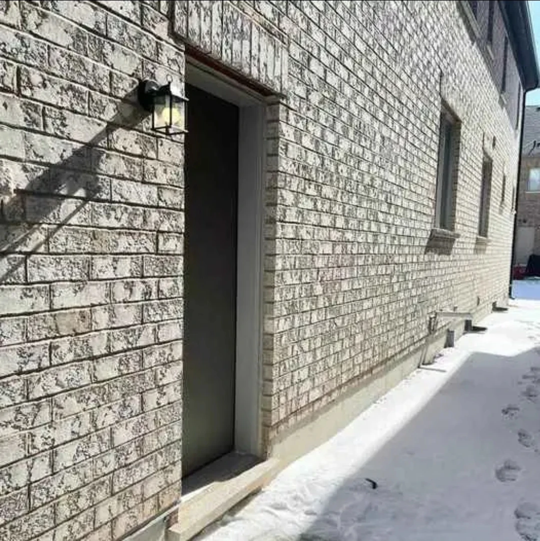 basement for rentals - photo 2