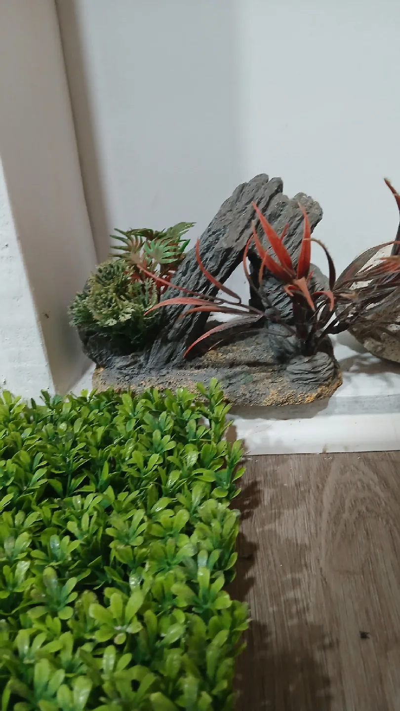 Aquarium Decorations image indicator(4)