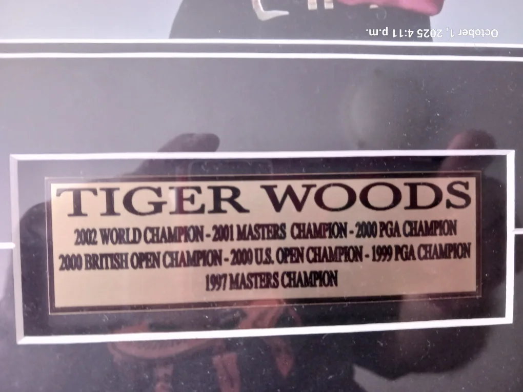 Tiger Woods 2000 Champion Framed Collectible image indicator(2)