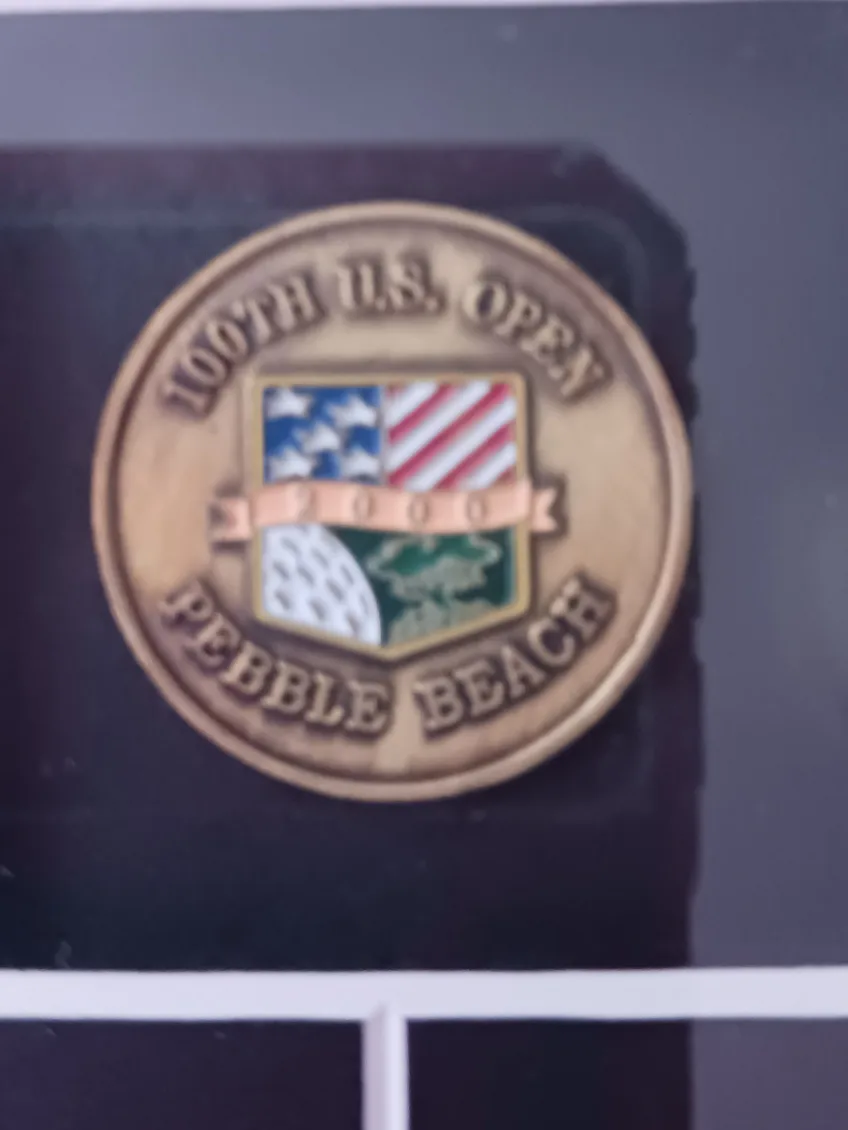 Tiger Woods 2000 Champion Framed Collectible image indicator(3)