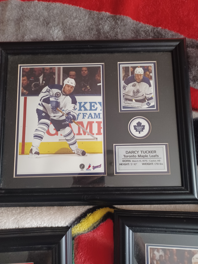 Framed NHL Hockey Player Photos