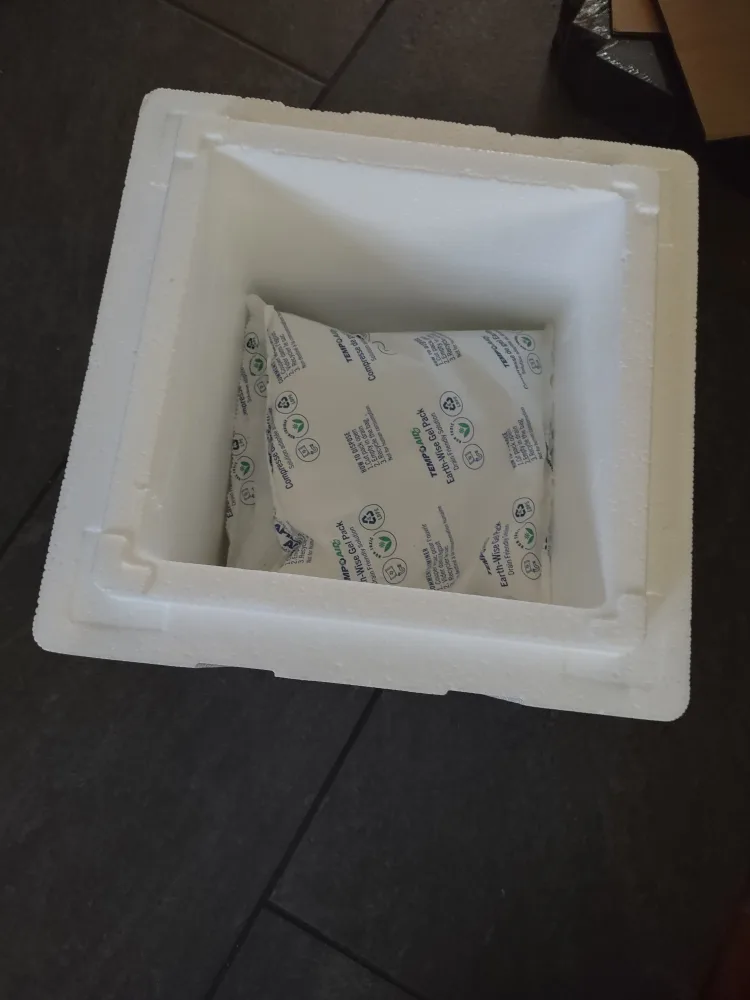 Styrofoam Cooler with Ice Packs