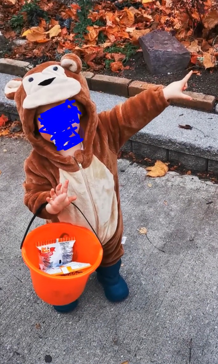 Monkey Costume - Toddler Size