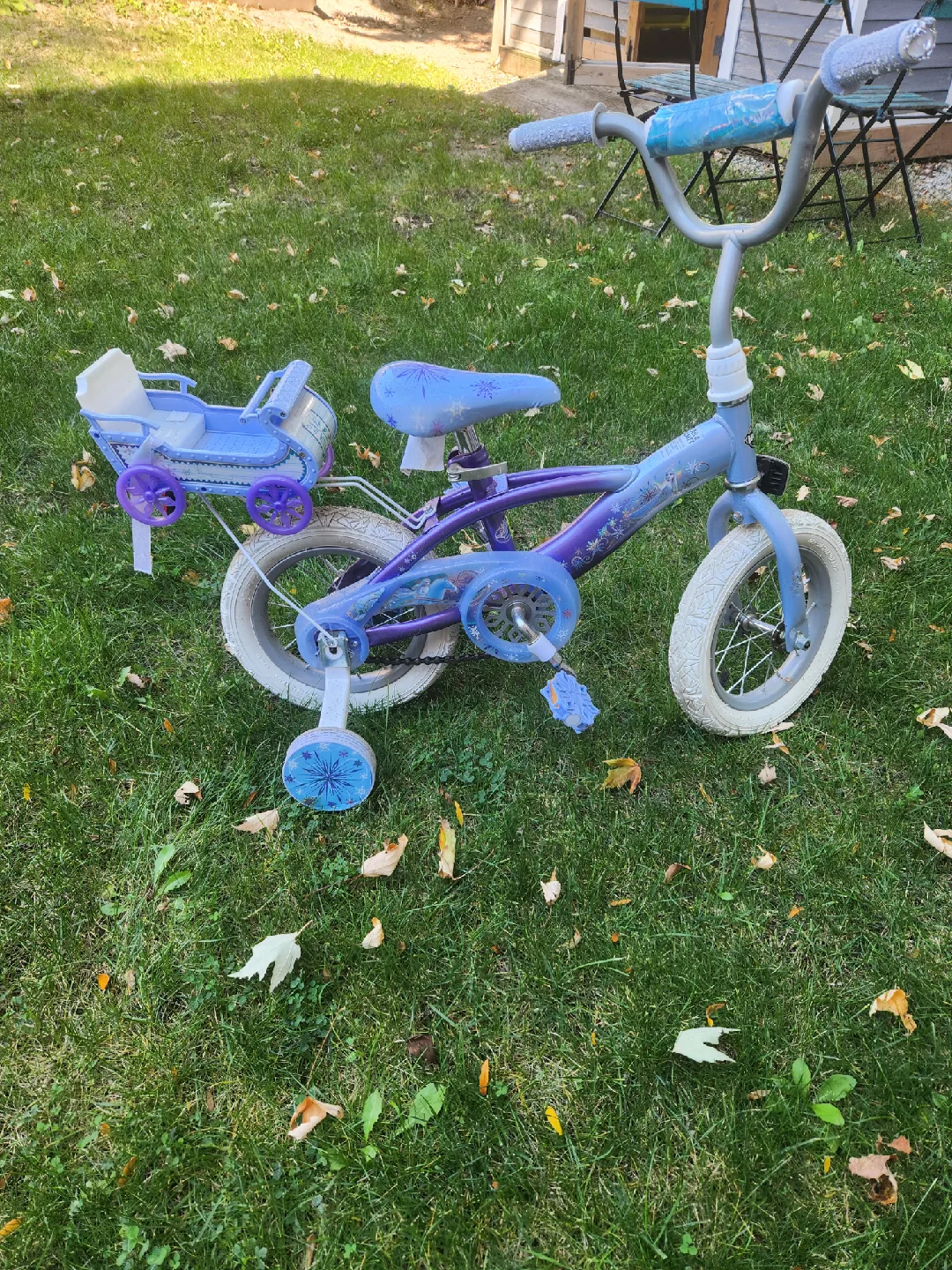 bicycle with frozen theme image indicator(4)