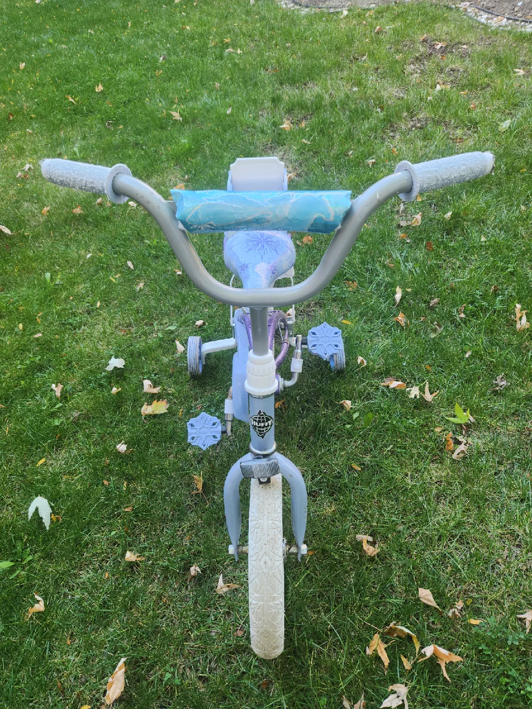 bicycle with frozen theme image indicator(5)