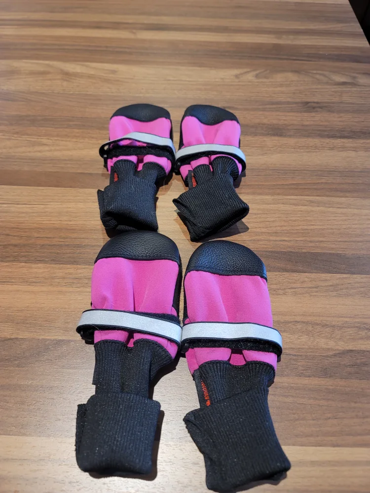 🥕 Blue Dog Boots image indicator(8)