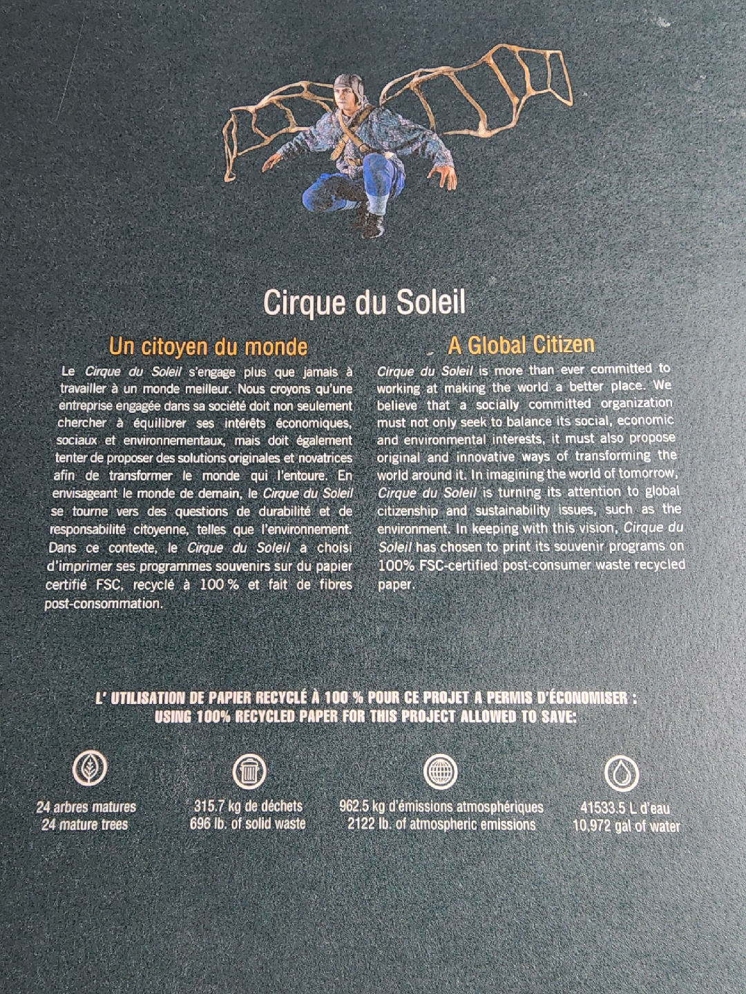 Cirque du Soleil Quidam Souvenir Program - photo 5