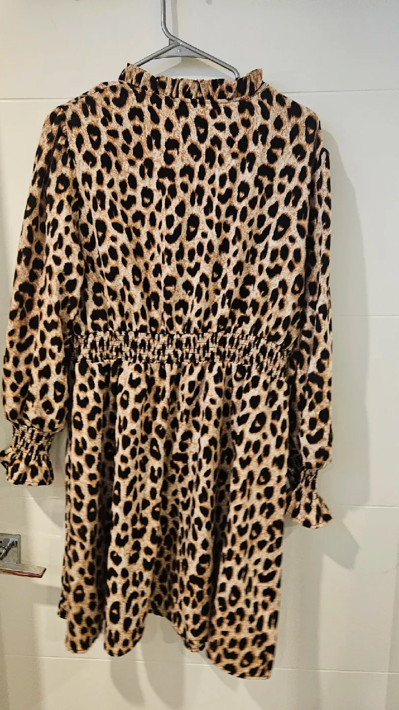 Plus Size Leopard Print Dress image indicator(3)