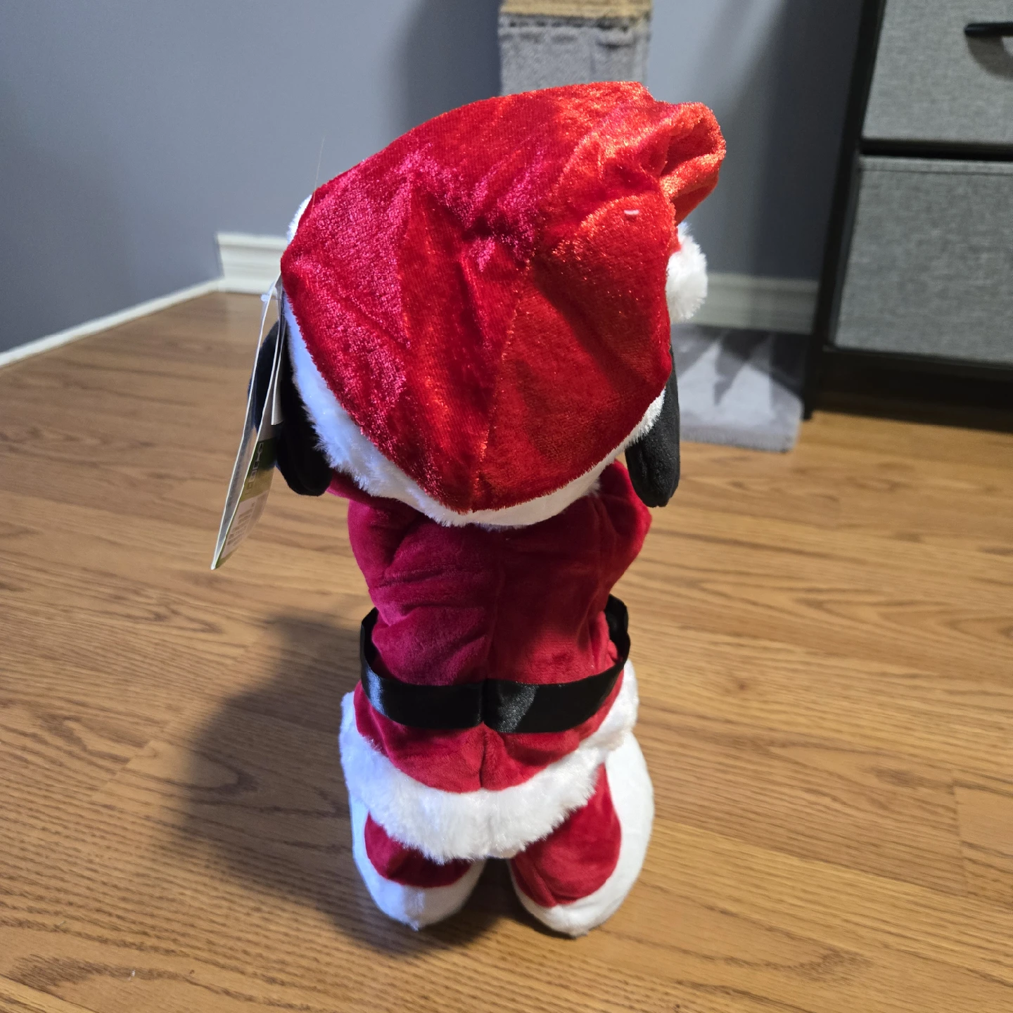 Snoopy - photo 3