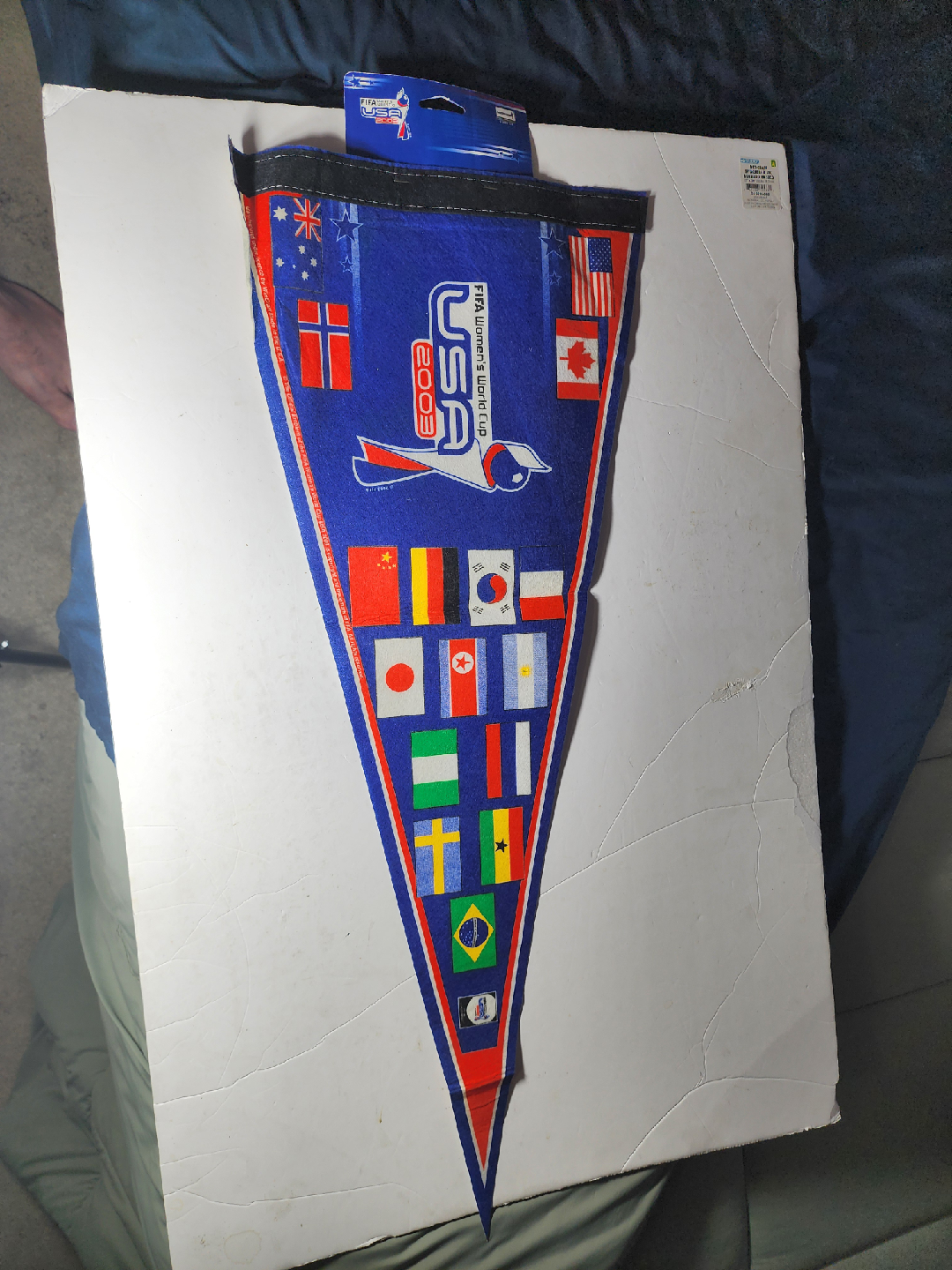 FIFA Women's World Cup USA 2003 Pennant