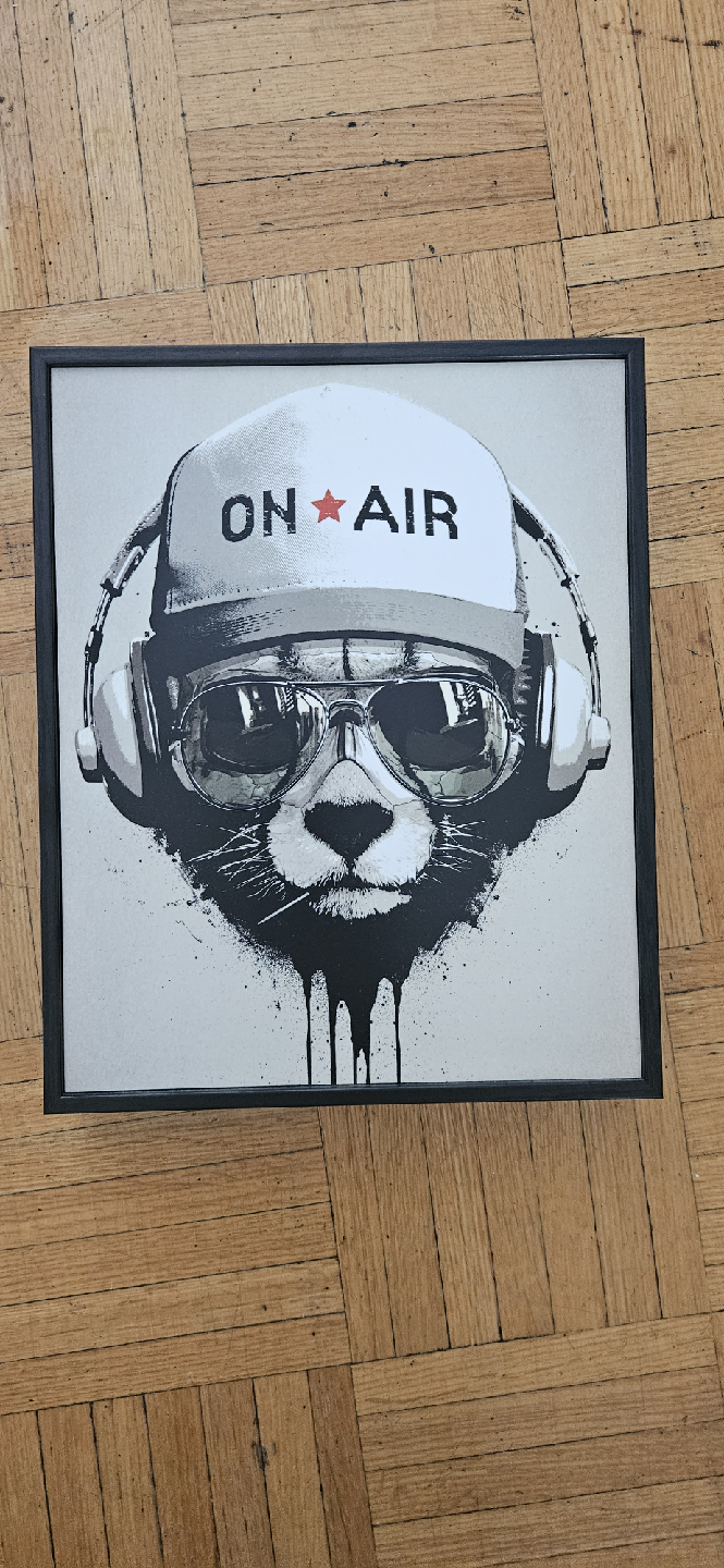 Framed "On Air" Cat Picture - Black Frame 🧡