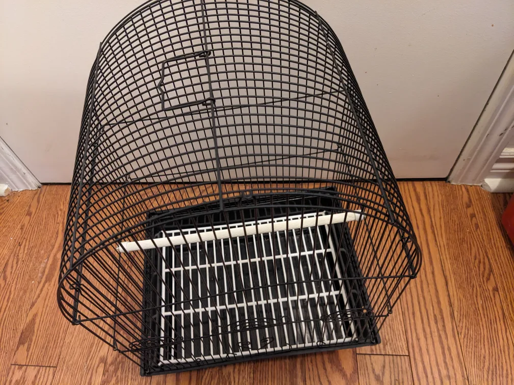 Black Bird Cage thumbnail