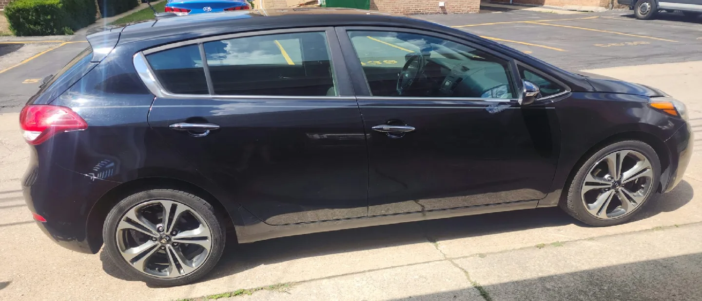 Kia Forte 5 2016 image indicator(4)