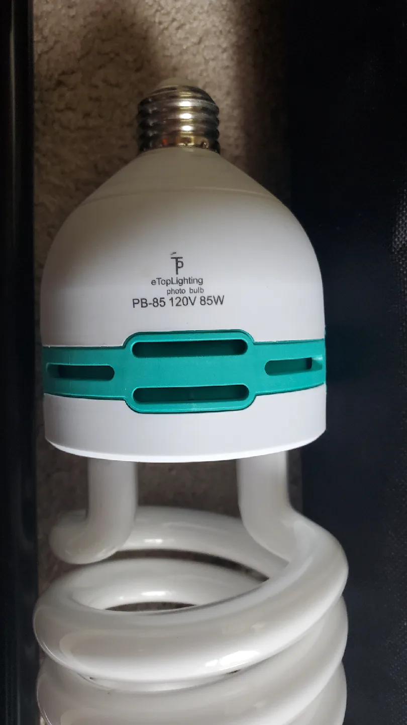 softbox lighting image indicator(2)