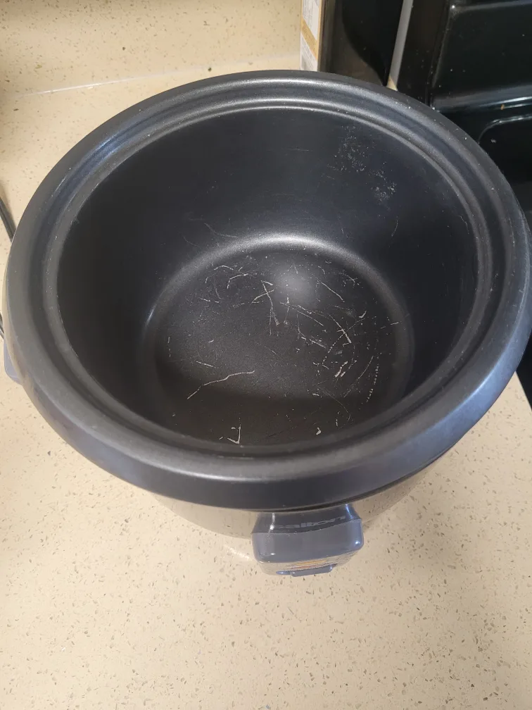 Salton Rice Cooker image indicator(2)