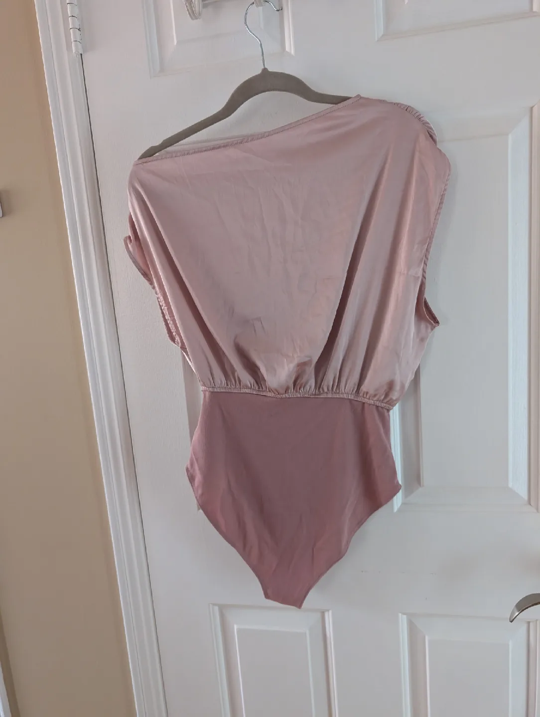 Brand New Cider Pink Bodysuit image indicator(4)