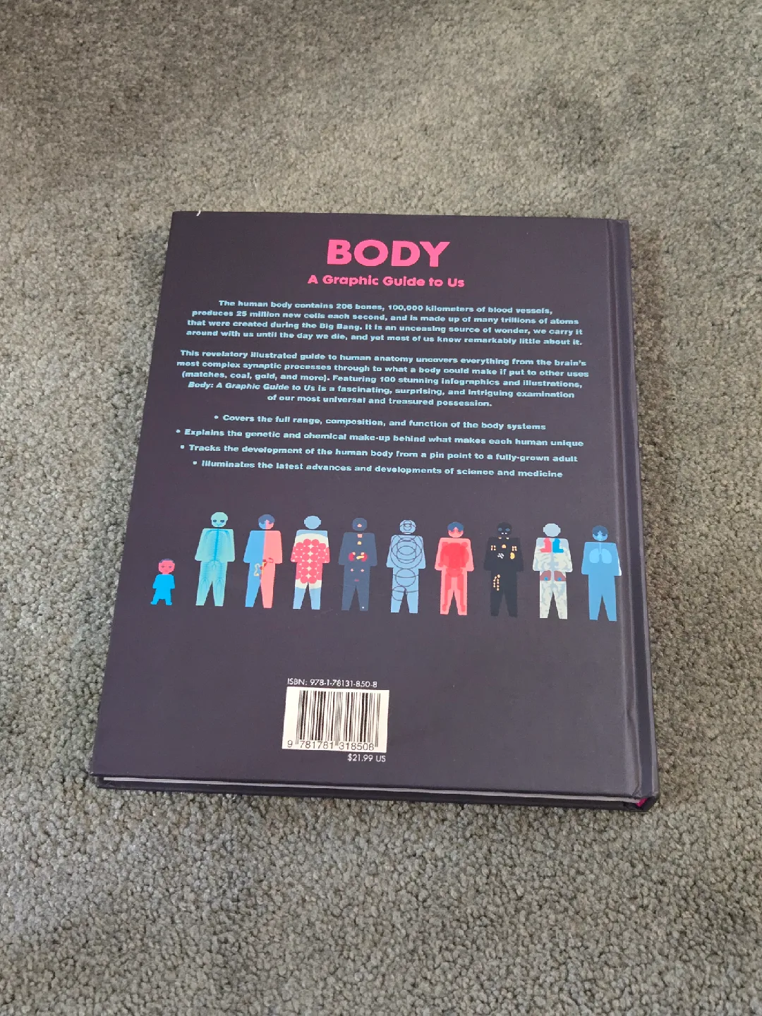 Body: A Graphic Guide to Us by Steve Parker & Andrew Baker image indicator(2)