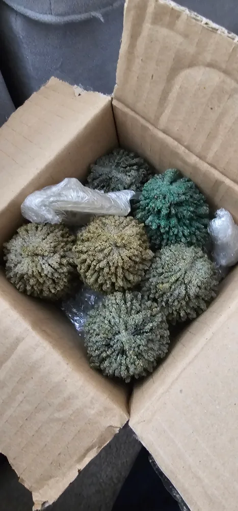 Corgi Model Airplanes and Tanks image indicator(6)