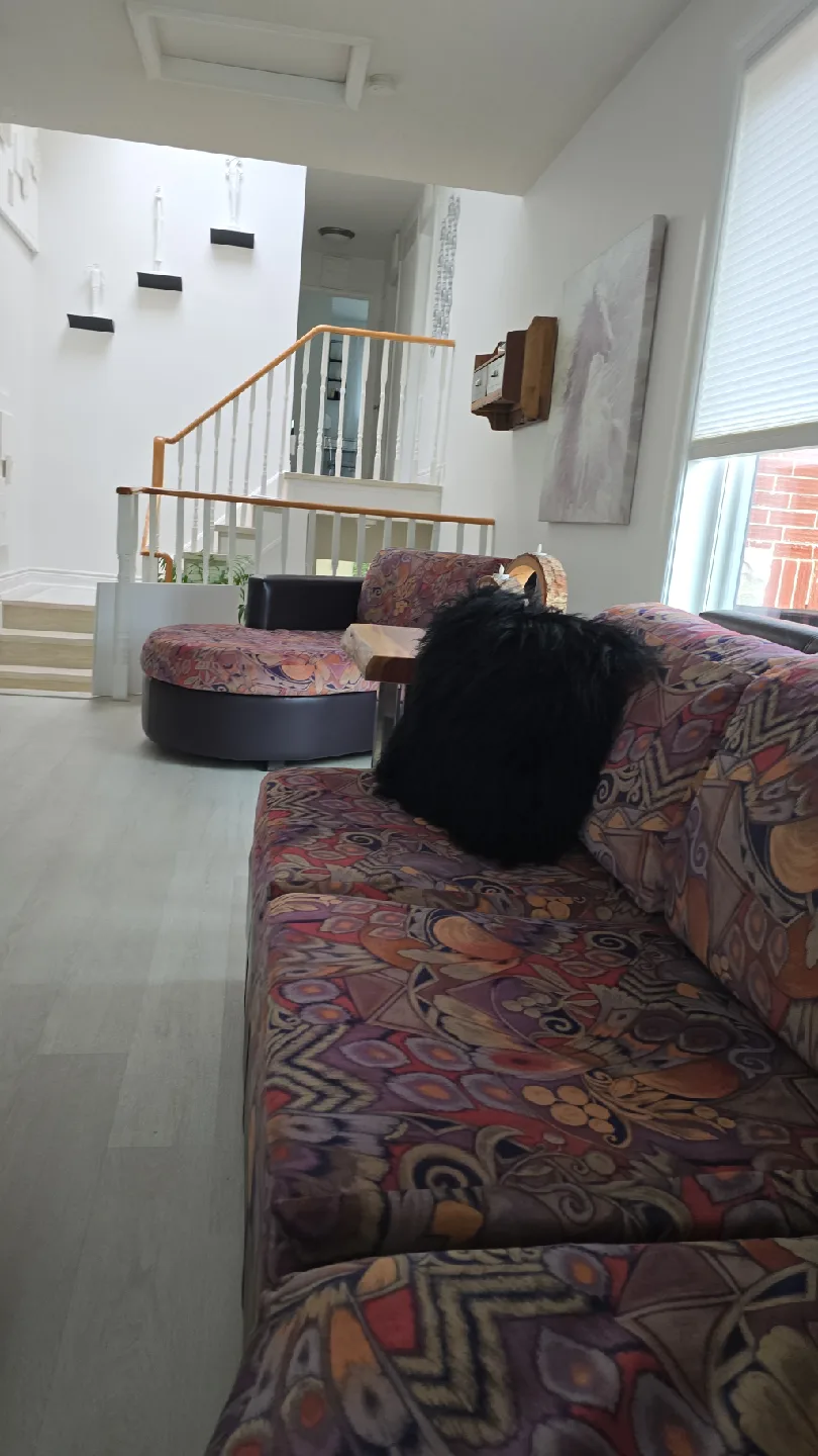 sofa thumbnail