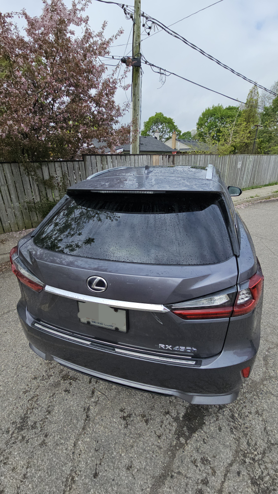 2017 Lexus RX 450 Hybrid - photo 2