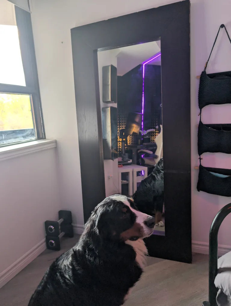 Black Framed Mirror image indicator(2)