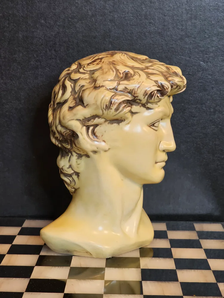 David Bust Statue image indicator(2)