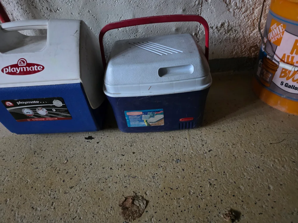 Igloo Playmate & Redmon Cooler image indicator(3)