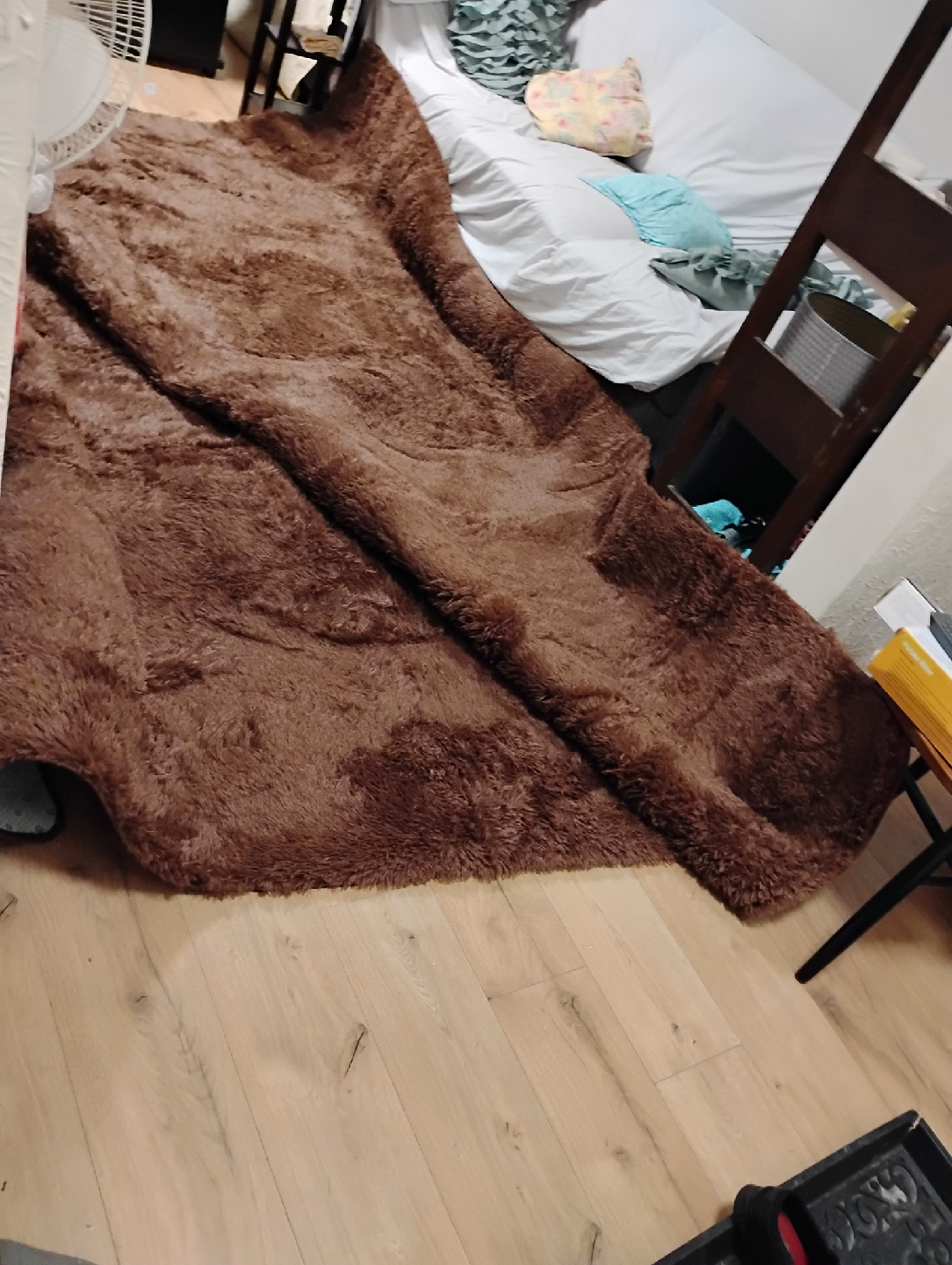 Brown Shag Rug