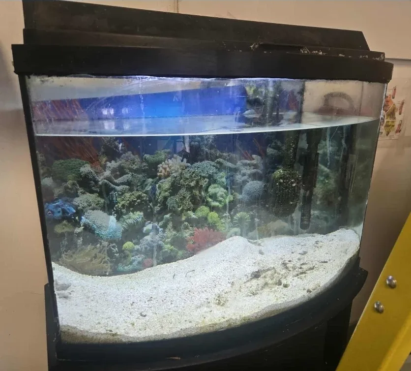 fish tank for sale image indicator(2)