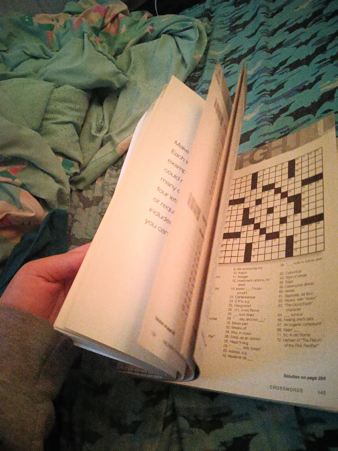 The Everything Crossword & Puzzle Book Vol II image indicator(3)