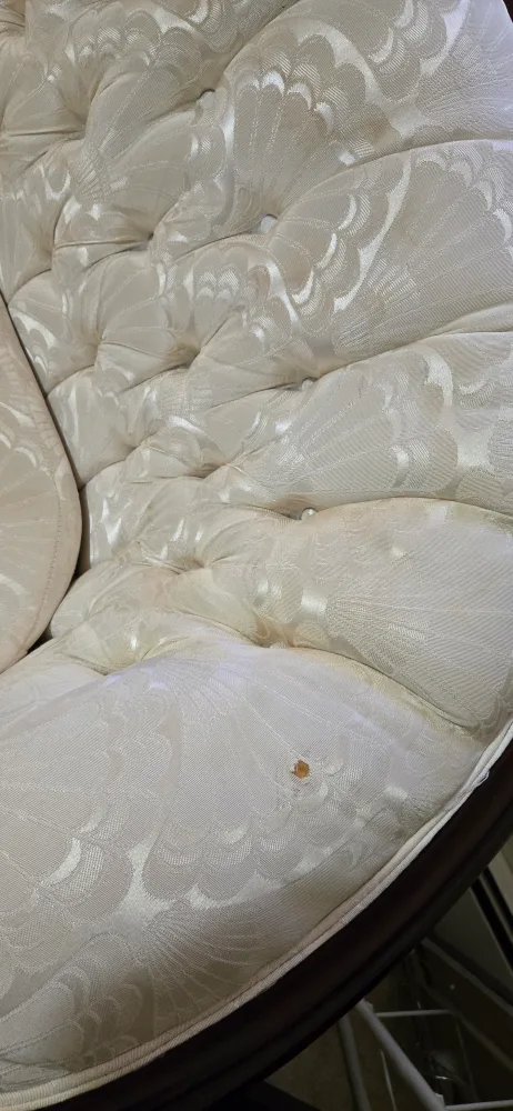 Antique Style Sofa and Loveseat Set - Cream image indicator(5)