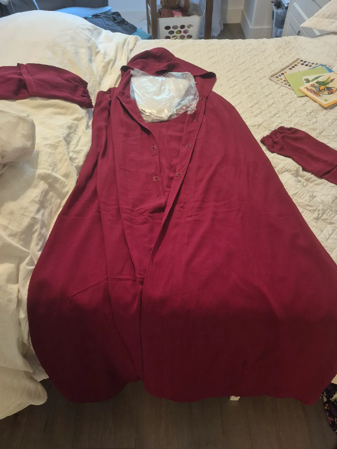 Handmaid's Tale (halloween) costume image indicator(3)