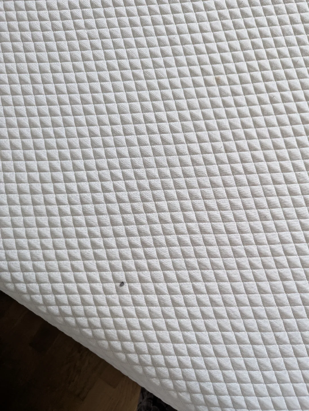 Douglas Mattress (full Size) 🛏️✨🌕 image indicator(3)