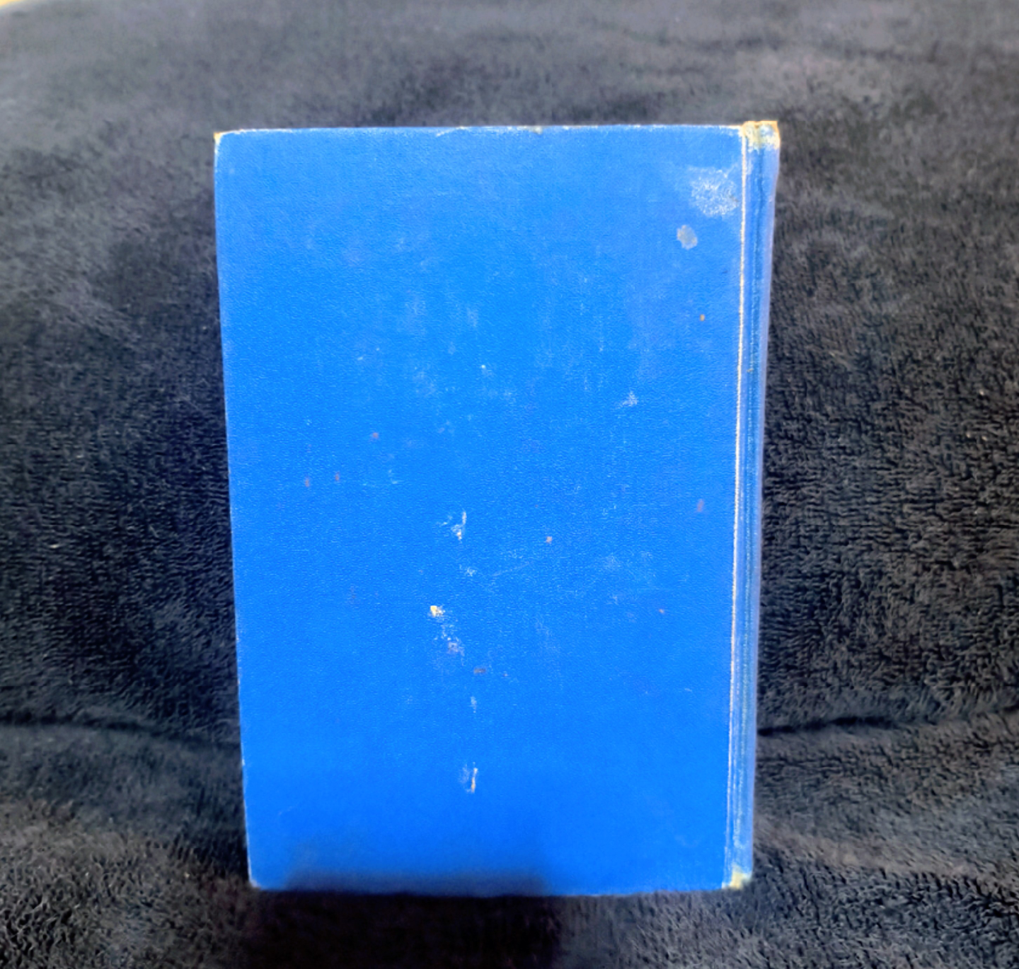 Moonglade: A Novel by the Author of The Martyrdom of an Empress - photo 3