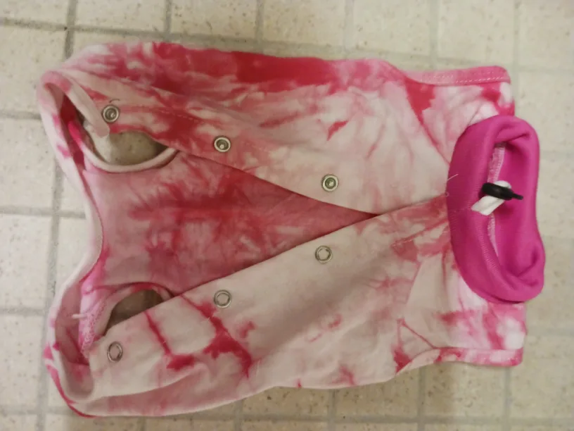 kitten surgical recovery bodysuit image indicator(8)