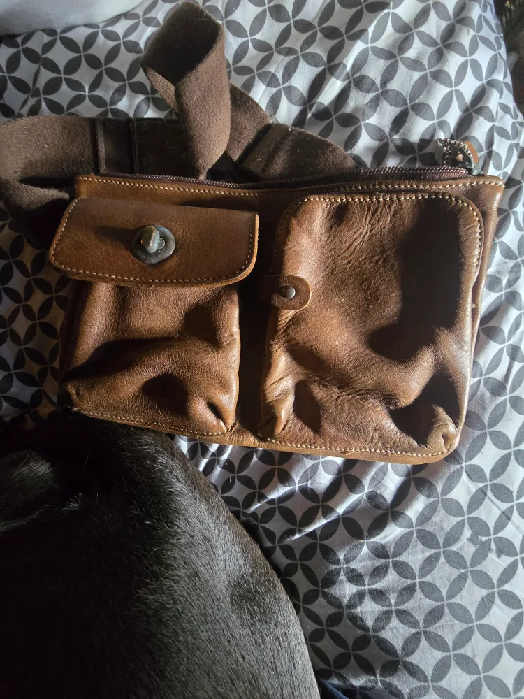 Roots Brown Leather Crossbody Bag