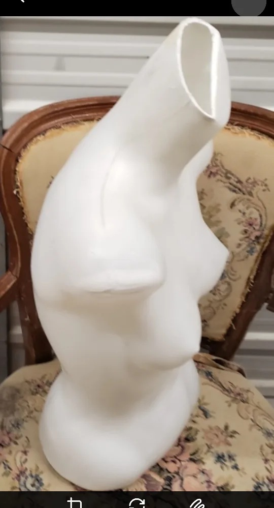 2 Female Mannequin Torso Form image indicator(3)