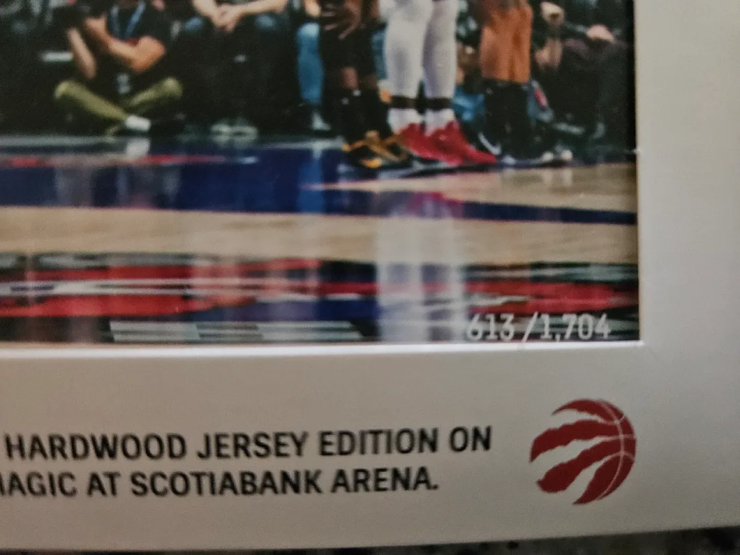 Toronto Raptors & Maple Leafs Photo Print Set image indicator(3)