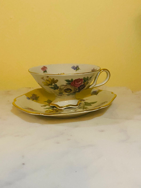 Mitterteich Bavaria Germany Floral Tea Cup & Saucer