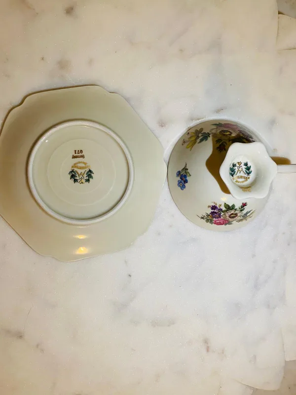 Mitterteich Bavaria Germany Floral Tea Cup & Saucer image indicator(3)