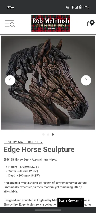 Edge Horse Sculpture by Matt Buckley image indicator(5)