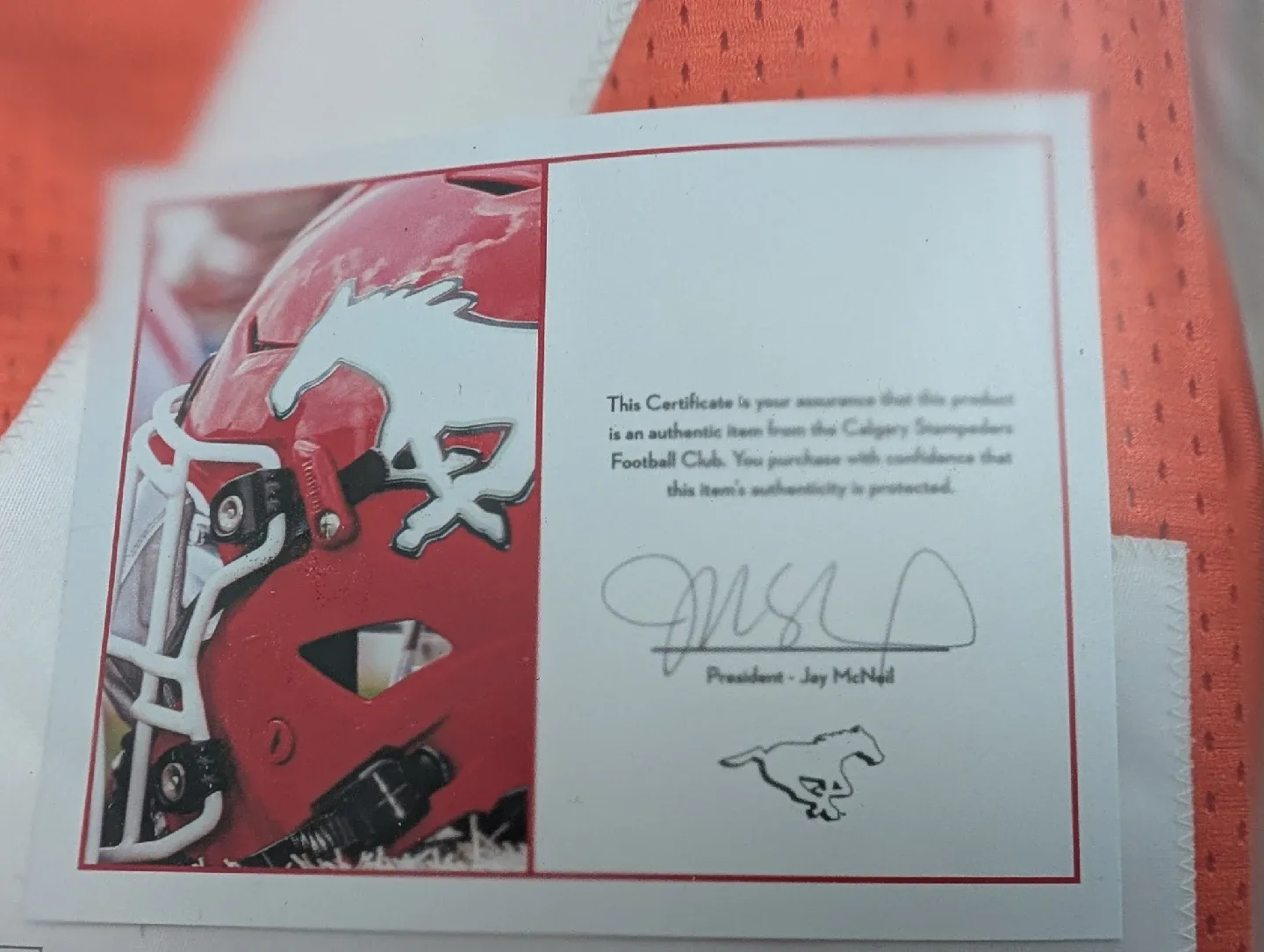 New Era Calgary Stampeders Hicks Jersey image indicator(3)