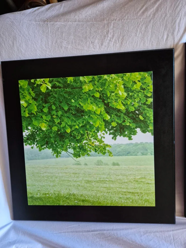 Great Pair of Paintings image indicator(3)