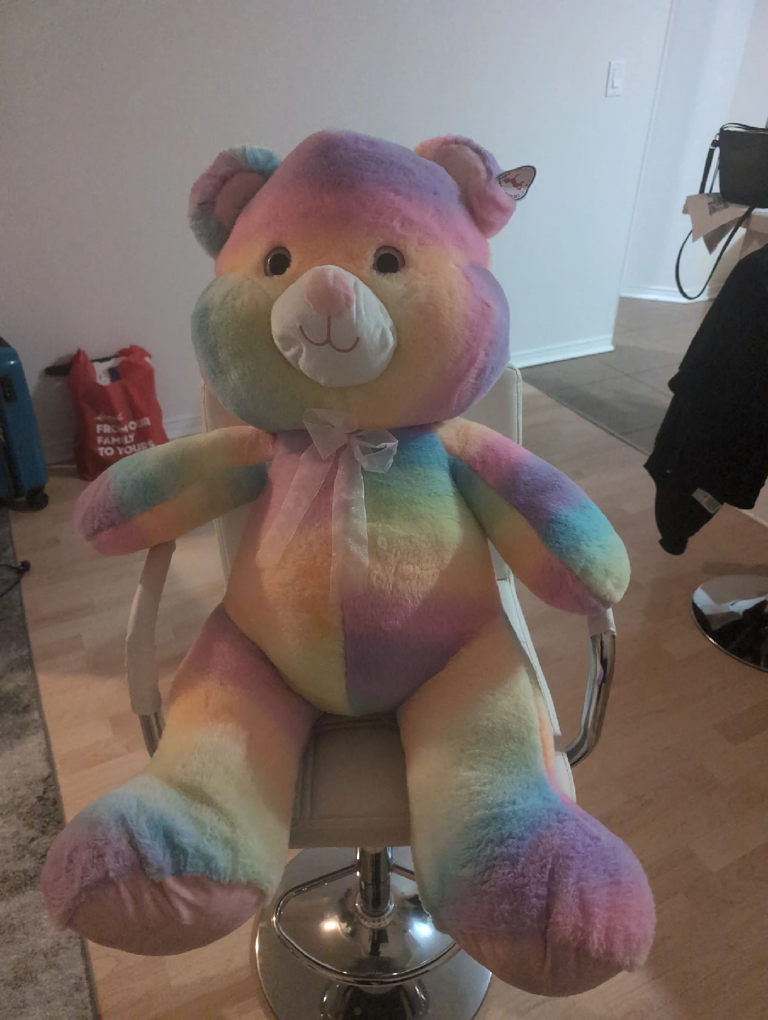 Rainbow Plush Teddy Bear