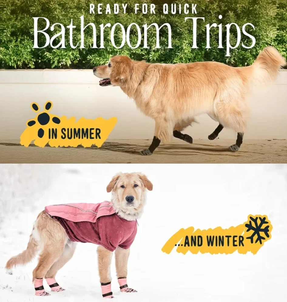 Grip Socks for Dogs image indicator(5)