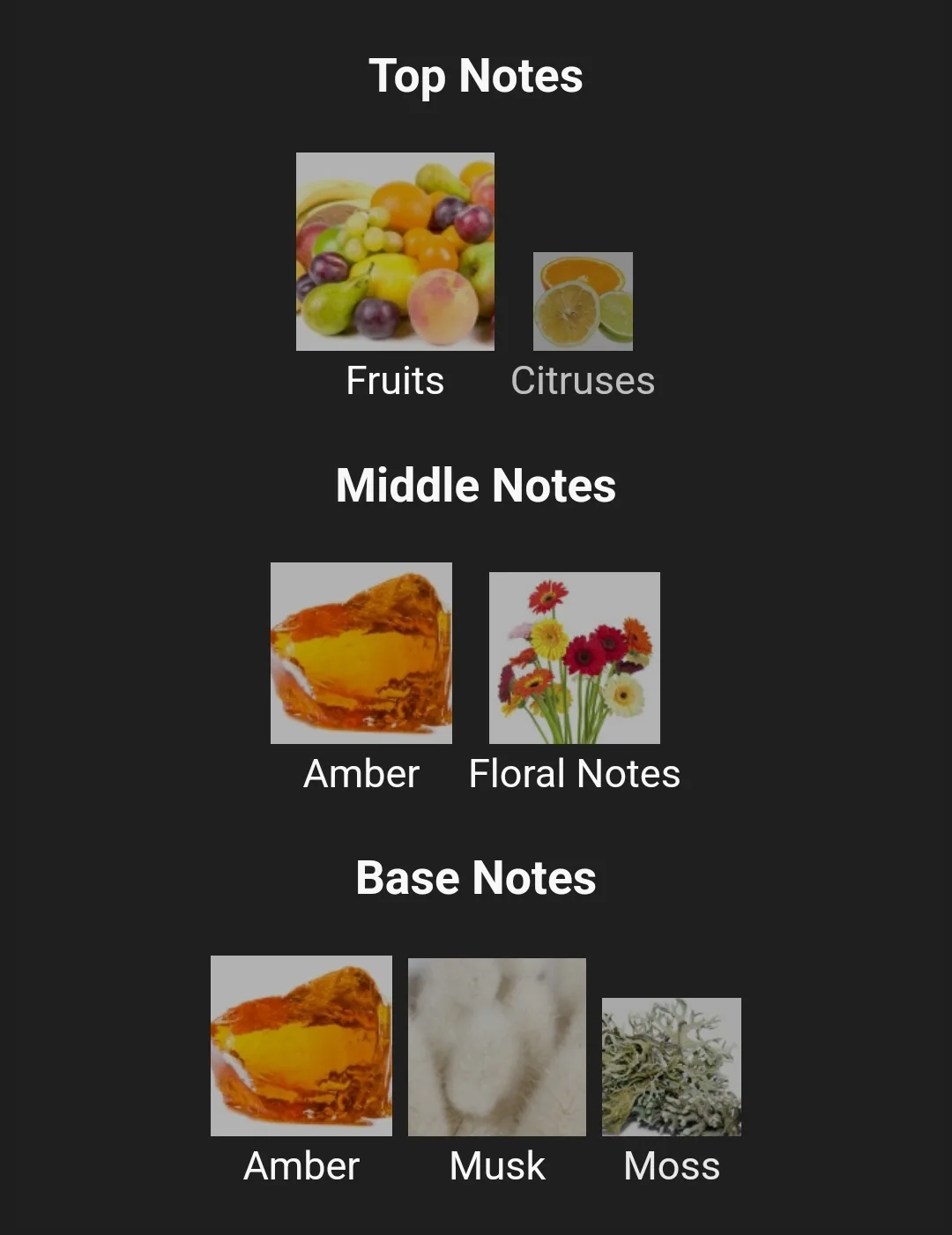 Ajmal Aurum Winter EDP 75ml image indicator(5)