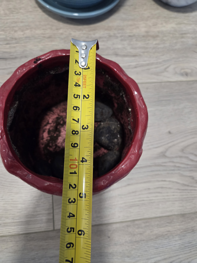 Red Planter/Pot - photo 2